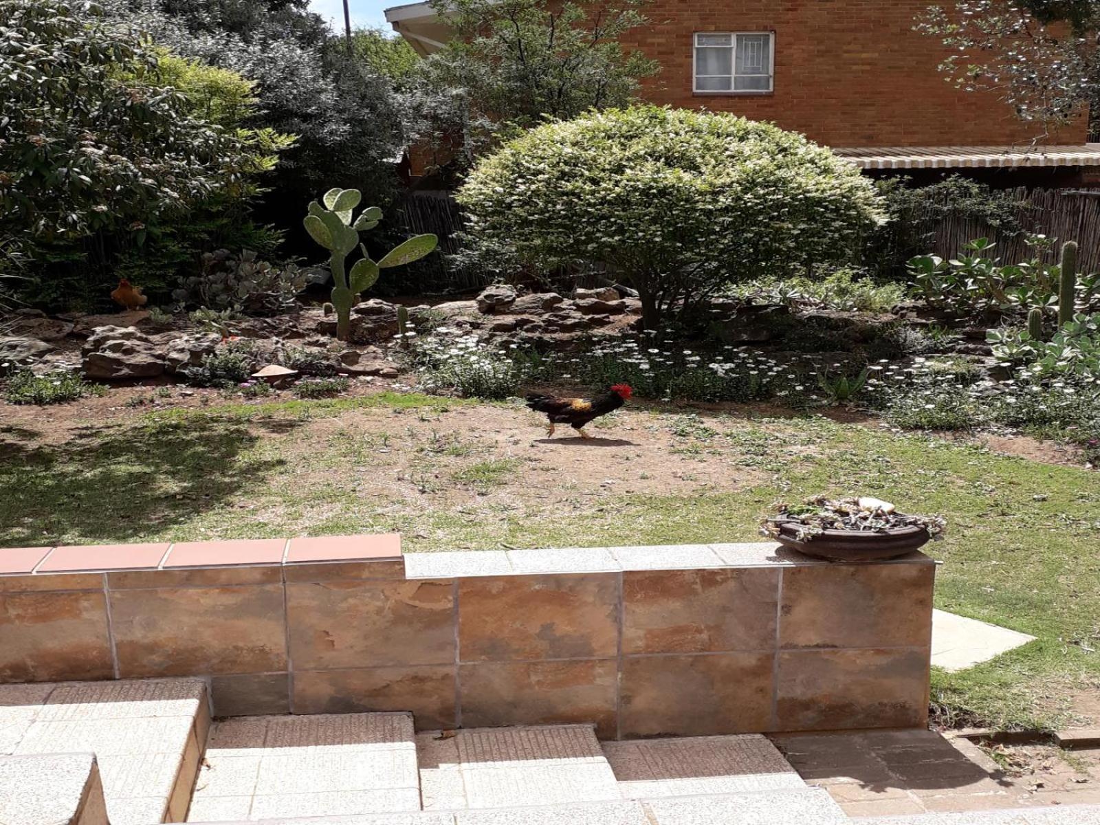 Aandrus Bnb Kestell Esterno foto